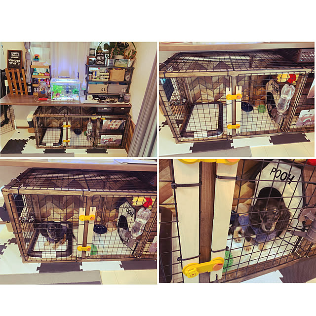 水槽セット テトラ ホワイトアクアリウム スリム 4 フィルターat 30セット アクアリウムセット 40cm 熱帯魚 金魚 ガラスのレビュー クチコミとして参考になる投稿5枚