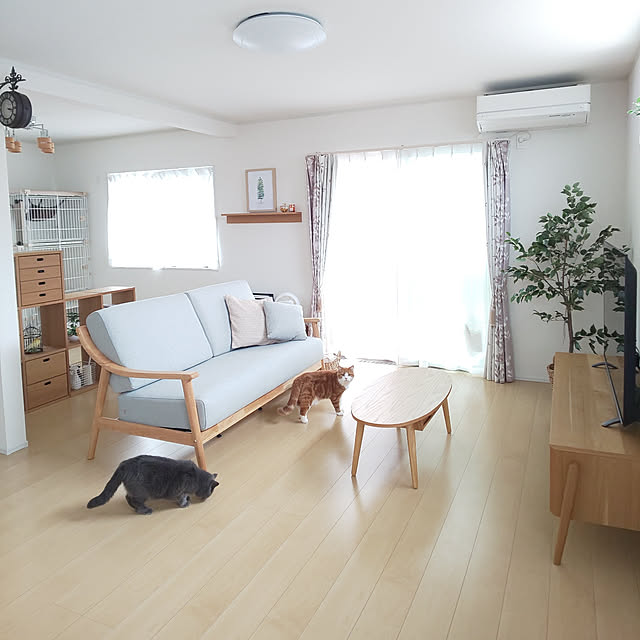 写真付きレビュー 3人用ソファ ブランシェ 全2色 ソファ ソファー Sofa 椅子 腰掛 I字 3人掛け 三人掛け 3人用 ゆったり リビング Gy グレー グレイ 灰色 グレージュ Nv ネイビー 藍色 ファブリック 布 布張り 天然木 木 脚 ナチュラル カントリー カフェ