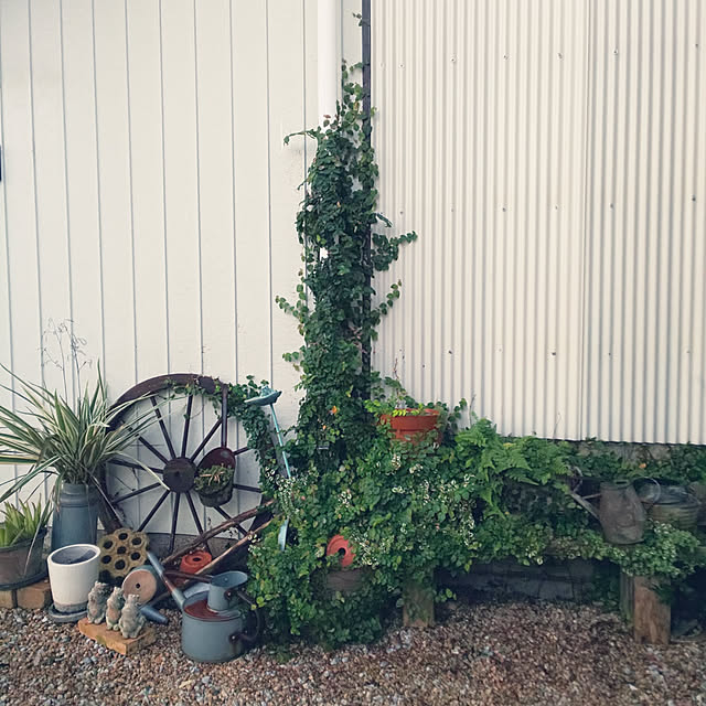 ノルマンディーミルクポット Sp Huy812 ミルク缶 ブリキ 置物 飾り オブジェ オーナメント ガーデニング雑貨 ガーデン雑貨 インテリア雑貨 ナチュラル アンティーク かわいい おしゃれ ポイント消化 Milkのレビュー クチコミとして参考になる投稿13枚