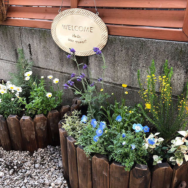 着後レビューで今治タオル他 タカショー 先割花壇フリー ブラウン 中 花壇フェンス 連杭 エッジ 約 幅1000mm 奥行26mm 高さ300mm 花壇に合わせて形を変えられますのレビュー クチコミとして参考になる投稿10枚 Roomclipショッピング