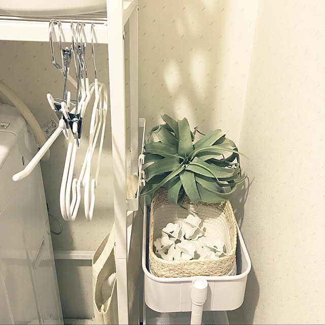 ニトリ すべりにくいスカート ズボンハンガー ３本組 Dhラミーwh3p のレビュー 口コミとして参考になる投稿8枚 Roomclip ルームクリップ