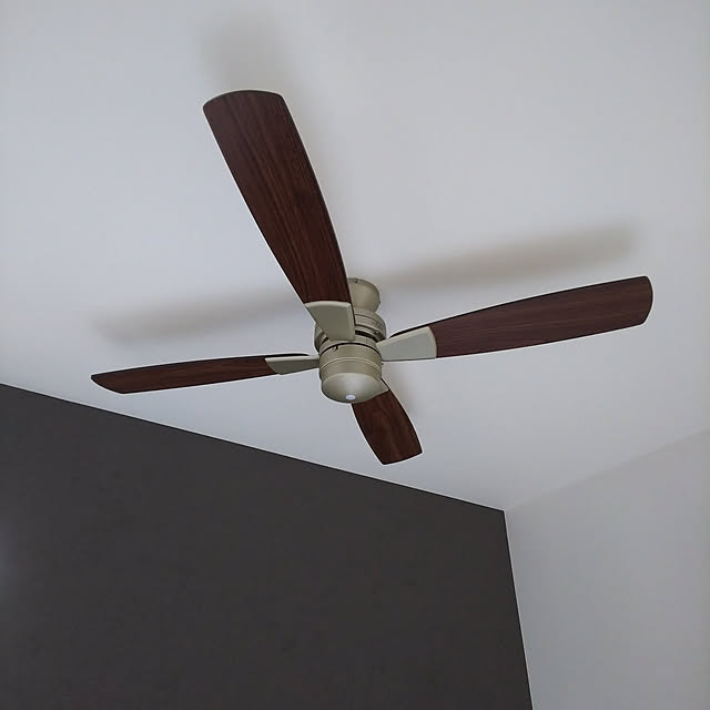 大光電機 Daiko シーリングファン 簡易取付式 リモコンスイッチ付 本体シルバー 正転逆転切替 風量3段切替機能付 As563eのレビュー 口コミとして参考になる投稿13枚 Roomclip ルームクリップ