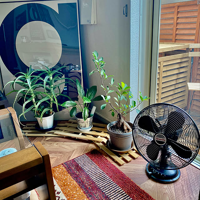 Max47倍 送料無料 扇風機 おしゃれ あす楽14時まで ポイント10倍 特典付き ハモサ レトロファンテーブルhermosa Retro Fan Table扇風機 レトロ サーキュレーター 首振り 静音 空気循環器のレビュー クチコミとして参考になる投稿36枚 Roomclip ルームクリップ