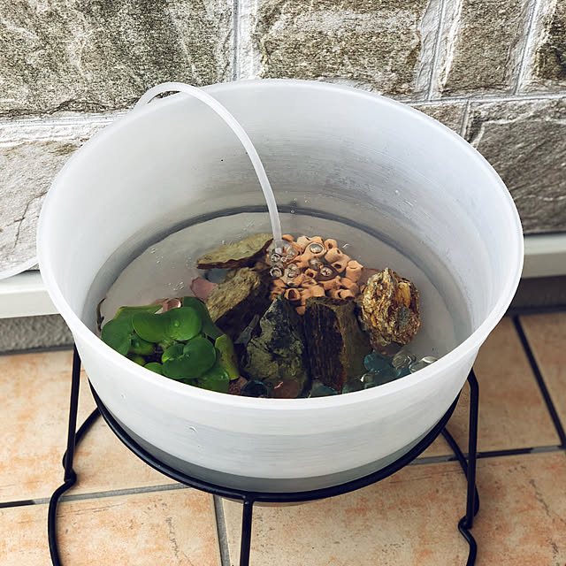メダカ元気 メダカ元気メダカのための飼育鉢 3 茶 期間限定お試し価格 茶