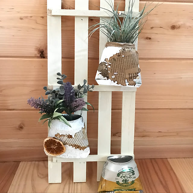 観葉植物 エアープランツ ティランジア コットンキャンディ ピンク 1株 のレビュー クチコミとして参考になる投稿7枚 Roomclip ルームクリップ