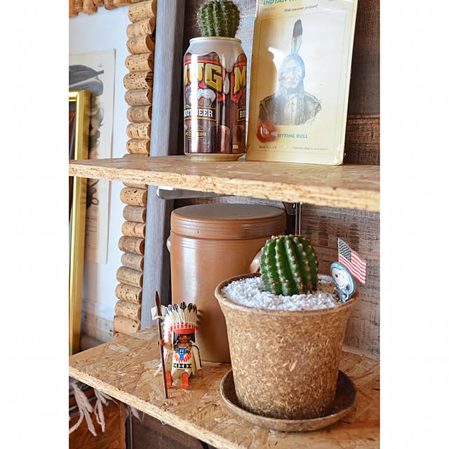 Ecoforms エコフォームズ ポットノバ8天然素材の植木鉢ガーデニング 園芸 家庭菜園 プランターのレビュー クチコミとして参考になる投稿7枚 Roomclip ルームクリップ