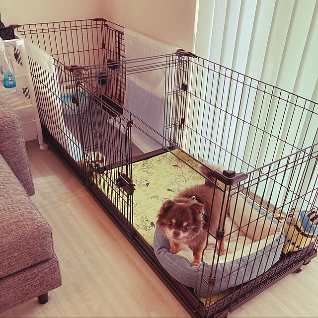 犬 ゲージ ペットサークル ケージ 犬 ケージ いぬ ペットケージ 犬ゲージ ペットゲージ 猫 ケージ おしゃれ アイリスオーヤマ 多頭飼い 室内ゲージ 増やせる コンビネーションサークル わんこ向けワイドセット セット ハウス 小型犬 室内のレビュー クチコミとして参考に