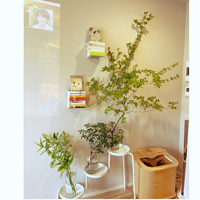 Ikea 1k ドウダンツツジ グリーンのある暮らし ルスカス などのインテリア実例 21 05 28 10 25 24 Roomclip ルームクリップ