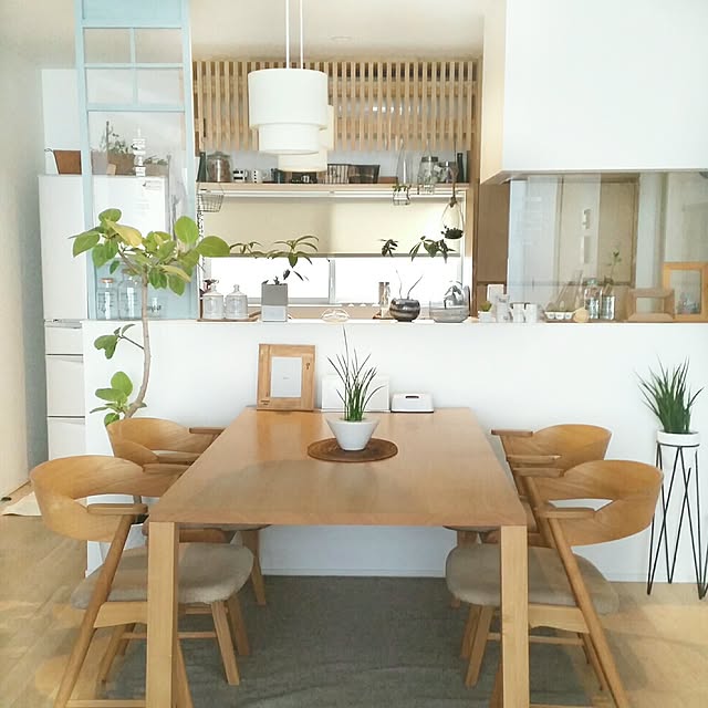 サンセベリア ファーンウッド ミカド 3号 サンスベリア 品薄 人気観葉植物 のレビュー クチコミとして参考になる投稿35枚 Roomclip ルームクリップ