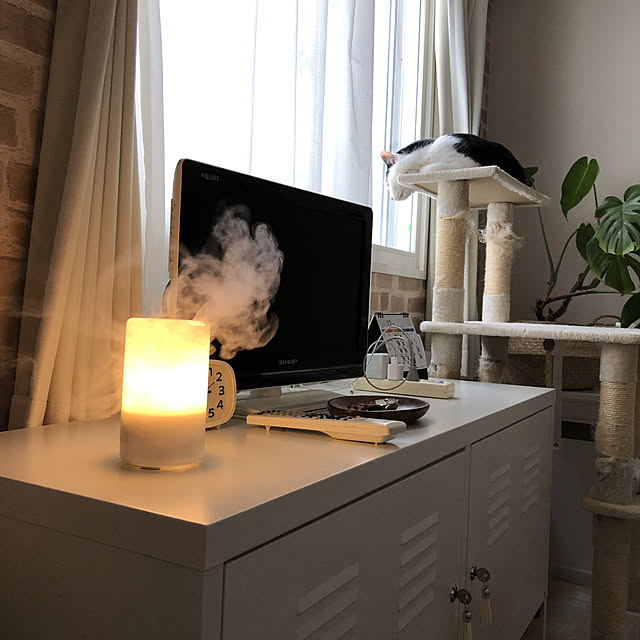 IKEA×キャットタワーののまとめページ 4ページ目 RoomClip (ルームクリップ)