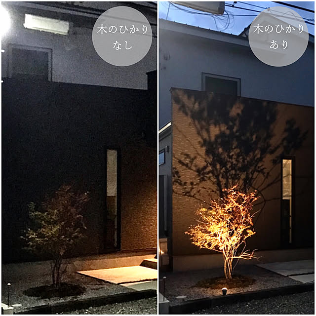 在庫一掃 P10倍 ライト Led 屋外 ローボルト 明るい Ledius Home 木 アップライト タカショー ひかりノベーション 木のひかり 基本セット A 再入荷1番人気 Nepalbreweries Com