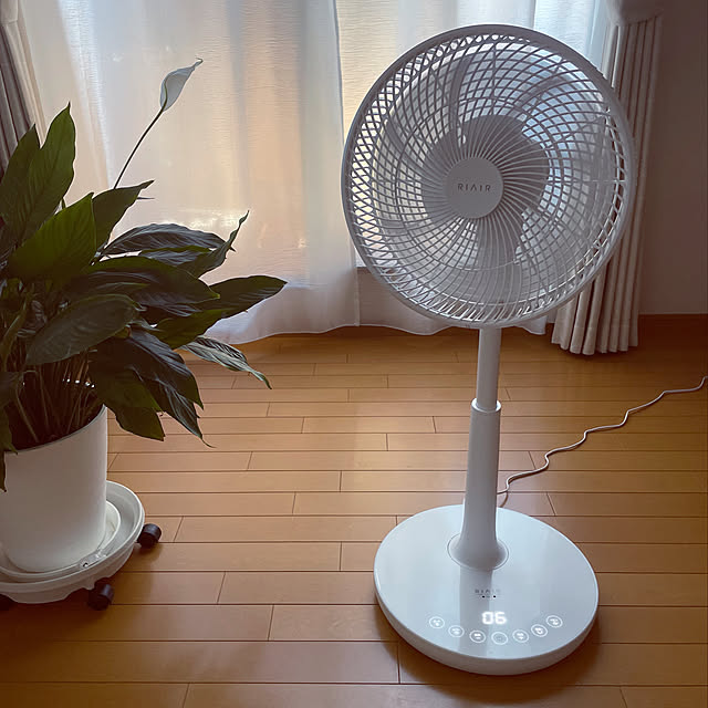 写真付きレビュー】ヤマダ電機 扇風機 DC モーター 静音 リモコン ...