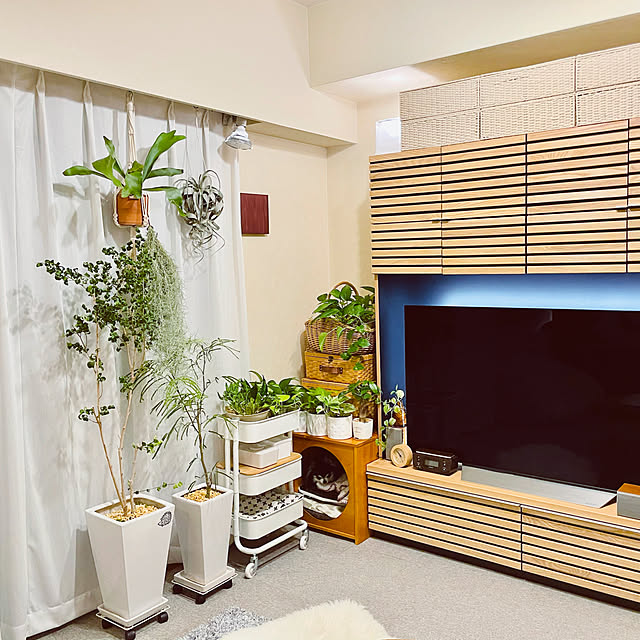 ニトリ テレビボードセット シーマ150 Na 60キャビネット上置きセット のレビュー 口コミとして参考になる投稿11枚