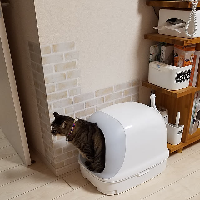 花王 Amazon限定ブランド スマイリーbox 猫用トイレ本体 ニャンとも清潔トイレセット 約1か月分チップ シート付 ドームタイプ クールホワイト 猫ちゃん想い設計 猫砂 クールホワイトのレビュー 口コミとして参考になる投稿230枚 Roomclip ルームクリップ 花王 Amazon限定ブランド スマイリーbox 猫用トイレ本体 ニャンとも清潔トイレセット 約1か月分チップ シート付 ドームタイプ クールホワイト 猫ちゃん想い設計 猫砂 クールホワイトのレビュー 口コミとして参考になる投稿230枚 Roomclip ルームクリップ