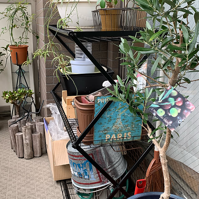 写真付きレビュー スタンド ラック オープンラック シェルフ 折りたたみ 屋外 花台 フラワースタンド タカショー フォールドラック 3段 Aの通販商品 口コミ情報 Roomclipショッピング