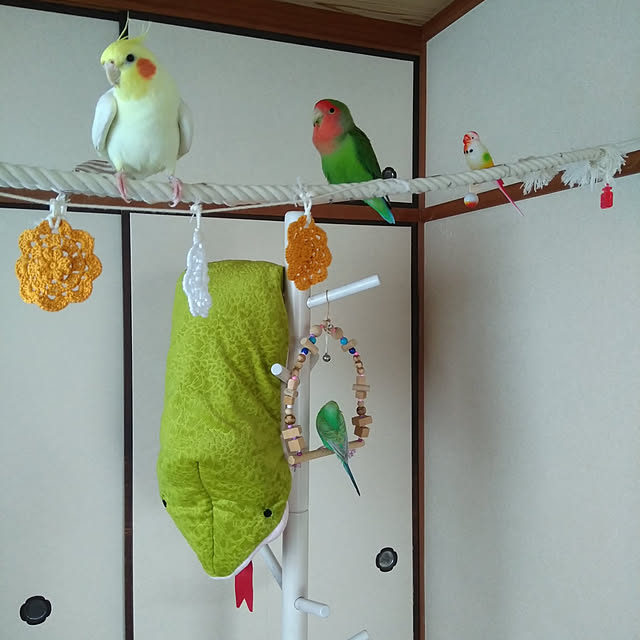 ゆらゆらバード トイ おもちゃ ストレス解消 遊び 小鳥 セキセイ ボタン オカメ インコのレビュー クチコミとして参考になる投稿4枚 Roomclip Item