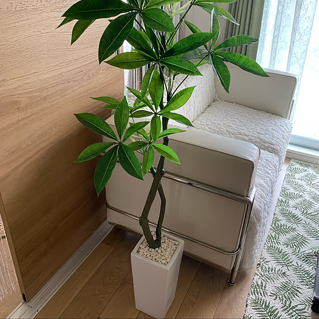 Doris ドリス 人工観葉植物 光触媒 簡単世話いらず フェイクグリーン インテリア 水やり不要 陶器鉢 パキラ L 135 のレビュー クチコミとして参考になる投稿7枚 Roomclip ルームクリップ Doris ドリス 人工観葉植物 光触媒 簡単世話いらず フェイクグリーン インテリア 水やり不要 陶器鉢 パキラ L 135 のレビュー クチコミとして参考になる投稿7枚 Roomclip ルームクリップ