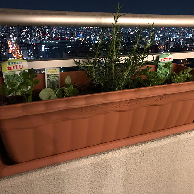 長方形 植木鉢 プラスチック アップルウェアークイーンプランター ホワイト白550型幅55cm 奥行22cm 高さ18cmのレビュー クチコミとして参考になる投稿1枚 Roomclip ルームクリップ 長方形 植木鉢 プラスチック アップルウェアークイーンプランター ホワイト白550型幅55cm 奥行22cm 高さ18cmのレビュー クチコミとして参考になる投稿1枚 Roomclip ルームクリップ