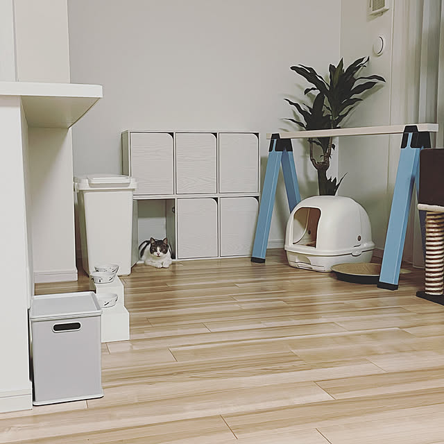 大里 Diy Id エラストマー ソーホース用 脚キャップ Id 021のレビュー 口コミとして参考になる投稿11枚 Roomclip ルームクリップ