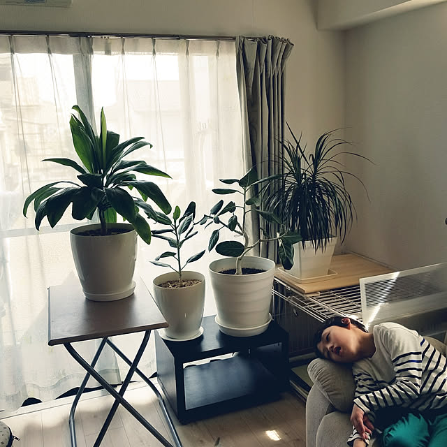 写真付きレビュー 楽天ランキング受賞 フレグラーポット 36cm 12号 鉢 プラ鉢 植木鉢 ガーデニング鉢 プランター鉢 鉢カバー ガーデニング プランター フレグラー 観葉植物 24リットル 室内 屋外 プラスチック 軽い 大型 おしゃれ オシャレ かわいい カワイイ