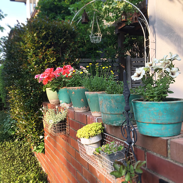 ワイヤープランターl Cv 04 3852 ワイヤーバスケット 鉢 プランター 鉢カバー ガーデニング雑貨 ガーデン雑貨 インテリア雑貨 ナチュラル アンティーク かわいい おしゃれ ポイント消化 Wireのレビュー クチコミとして参考になる投稿1枚 Roomclip ルームクリップ