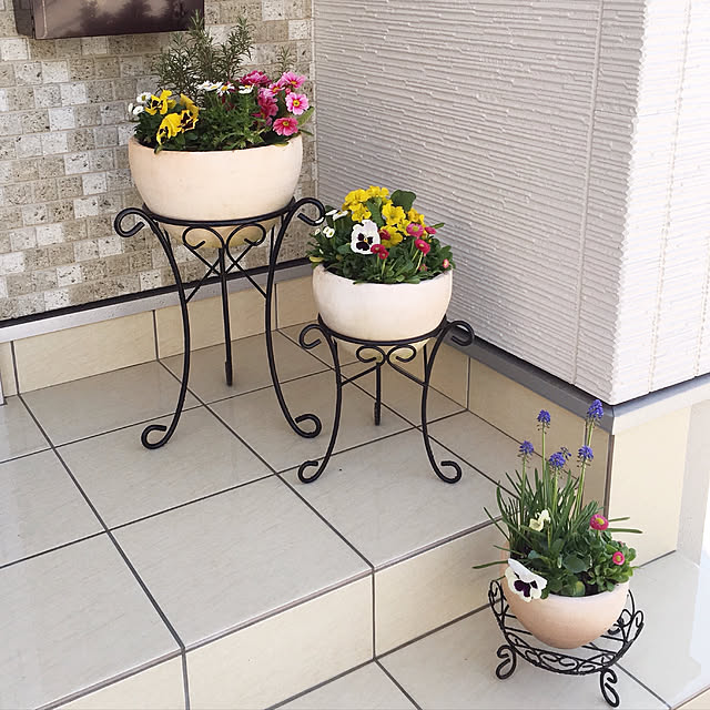 植木鉢 おしゃれ お買い得テラコッタ Kt304 Set W 3点セット テラコッタ 屋外 白 素焼きのレビュー クチコミとして参考になる投稿2枚 Roomclip ルームクリップ 植木鉢 おしゃれ お買い得テラコッタ Kt304 Set W 3点セット テラコッタ 屋外 白 素焼きのレビュー クチコミとして参考になる投稿2枚 Roomclip ルームクリップ