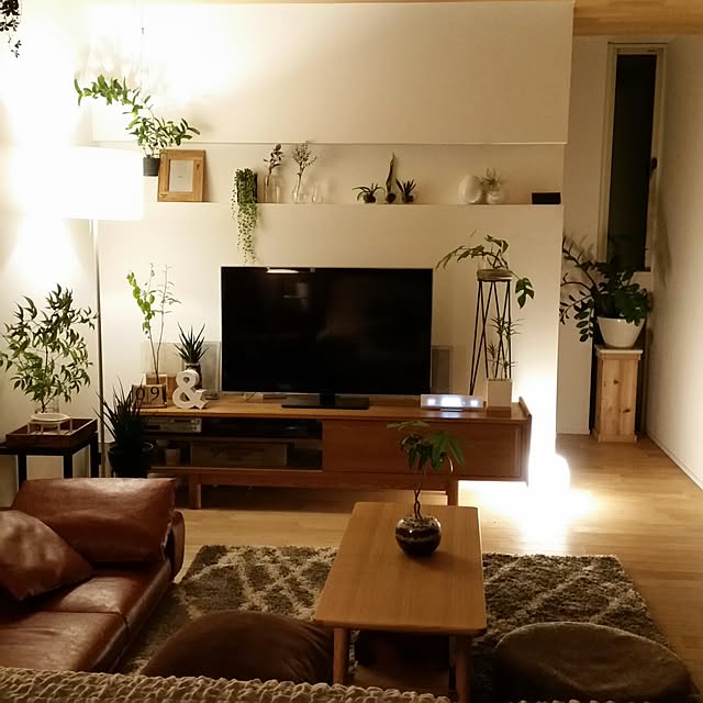 サンセベリア ファーンウッド ミカド 3号 サンスベリア 品薄 人気観葉植物 のレビュー クチコミとして参考になる投稿35枚 Roomclip ルームクリップ