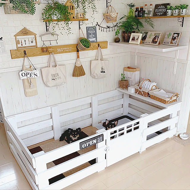 写真付きレビュー 壁紙施工道具7点セット 壁紙屋本舗が徹底的にこだわったオリジナル道具セット 壁紙貼り初心者から上級者まで使える あす楽対応 壁紙屋本舗の通販商品 口コミ情報 Roomclipショッピング