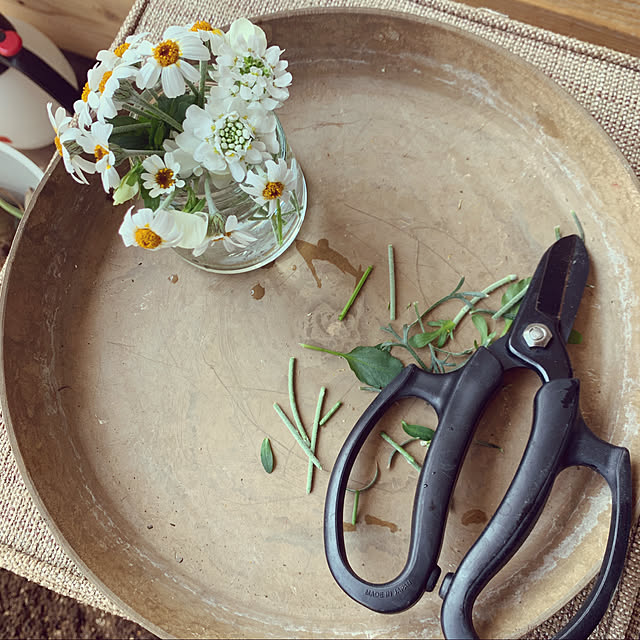 写真付きレビュー アルス 花はさみ フラワーアレンジメント鋏 剪定ばさみ 170mm Fp 17 生け花 ガーデニング 業務用 プロ仕様 束ね切り 茎 根元割りの通販商品 口コミ情報 Roomclipショッピング