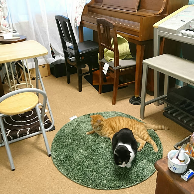 ニトリ フロアマット Nララ Iv 80x170 のレビュー 口コミとして参考になる投稿3枚 Roomclip ルームクリップ