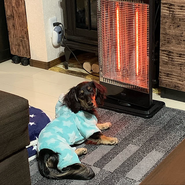 犬 服 犬服 犬の服 Dog Baby ドッグベビー つなぎ カバーオール ロンパース フリース 星柄 ドッグウェア 秋冬 秋服 秋 冬 おしゃれ 可愛い 女の子 男の子 トイプードル チワワ 柴犬 洋服 のレビュー クチコミとして参考になる投稿1枚