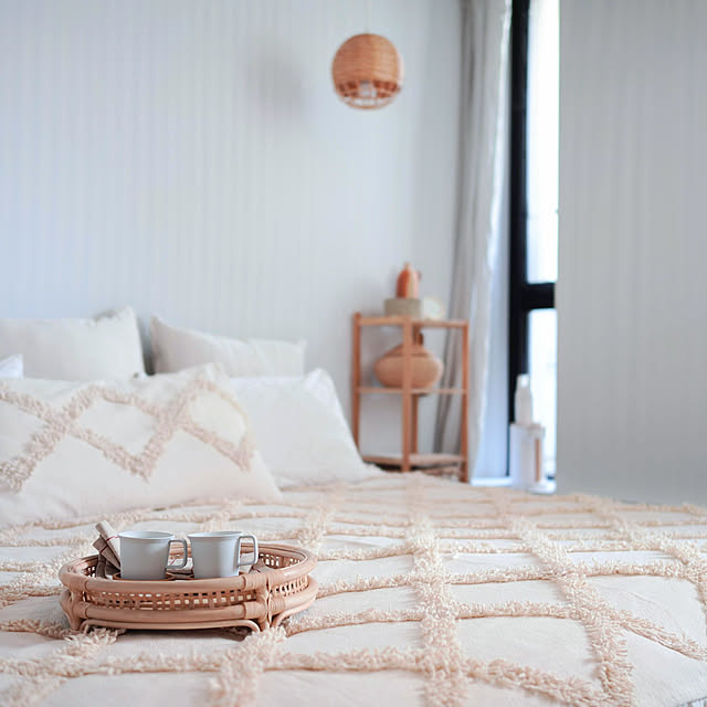 イデアインターナショナル マルチふとんドライヤーのレビュー 口コミとして参考になる投稿15枚 Roomclip ルームクリップ