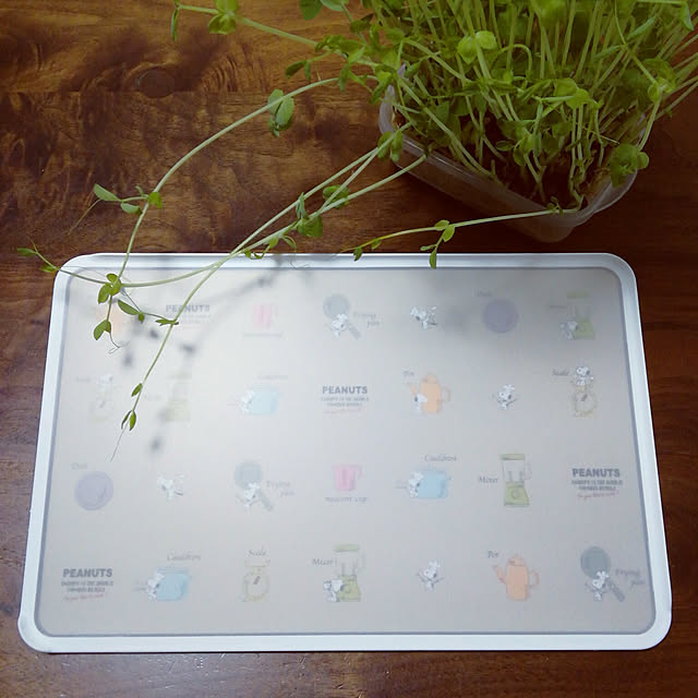 スヌーピー まな板 カッティングボード キャンプ用品 日本製 メール便なら 290で全国へ Spy 3 キッチンsnoopy 軽量 キッチン用品 グッズ キャンプ q 台所用品 結婚祝い 新築祝い 引越し 新生活 キャラクター グッズ バーベキュー グッズ のレビュー クチコミ