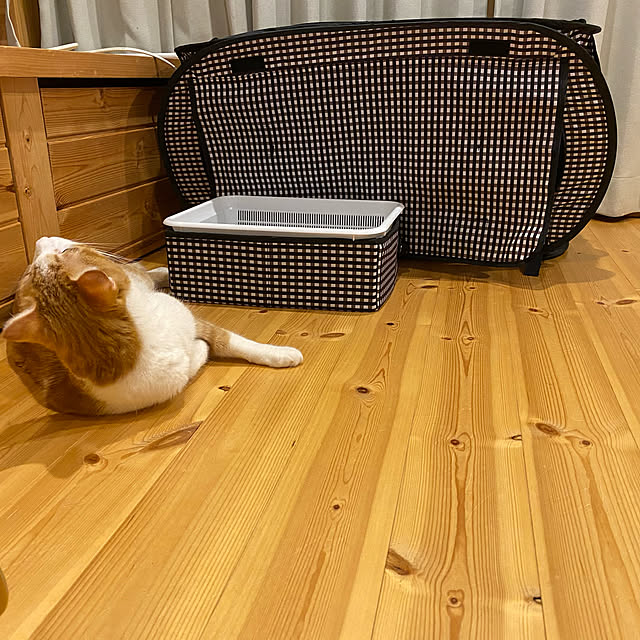 写真付きレビュー】ポータブルセット(ゲージ・トイレ) 1個 猫壱の通販商品口コミ情報 | RoomClipショッピング 写真付きレビュー】ポータブルセット(ゲージ・トイレ) 1個 猫壱の通販商品口コミ情報 | RoomClipショッピング