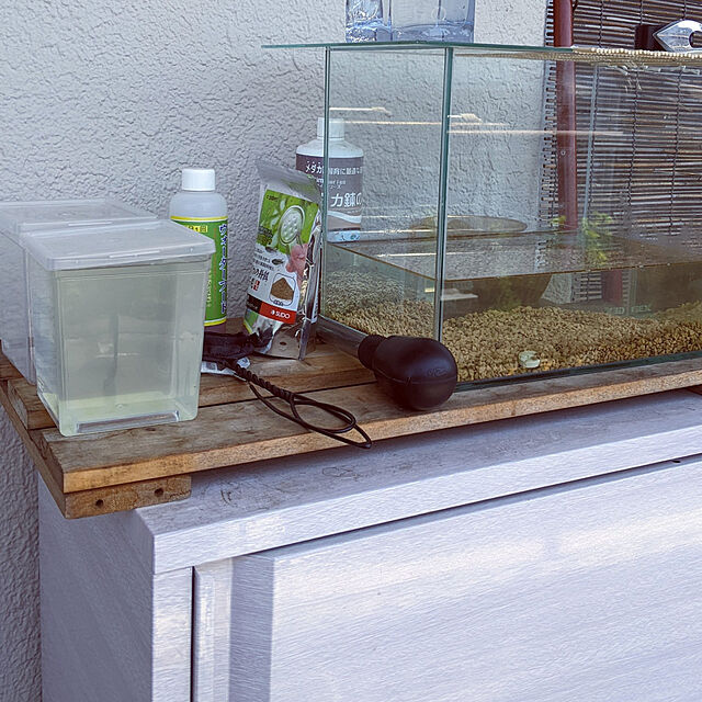 写真付きレビュー クハラ メダカ稚魚のための ウォーターフード ２００ｍｌ 稚魚の餌 生菌活力剤 液体フードの通販商品 口コミ情報 Roomclipショッピング