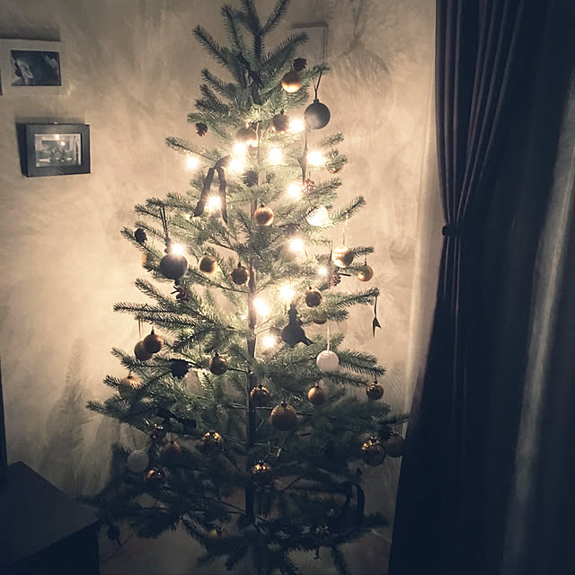 Ikea イケア クリスマスツリー Fejka アートプラント 室内 屋外用 155cm 503 633 81 のレビュー クチコミとして参考になる投稿1枚 Roomclip ルームクリップ