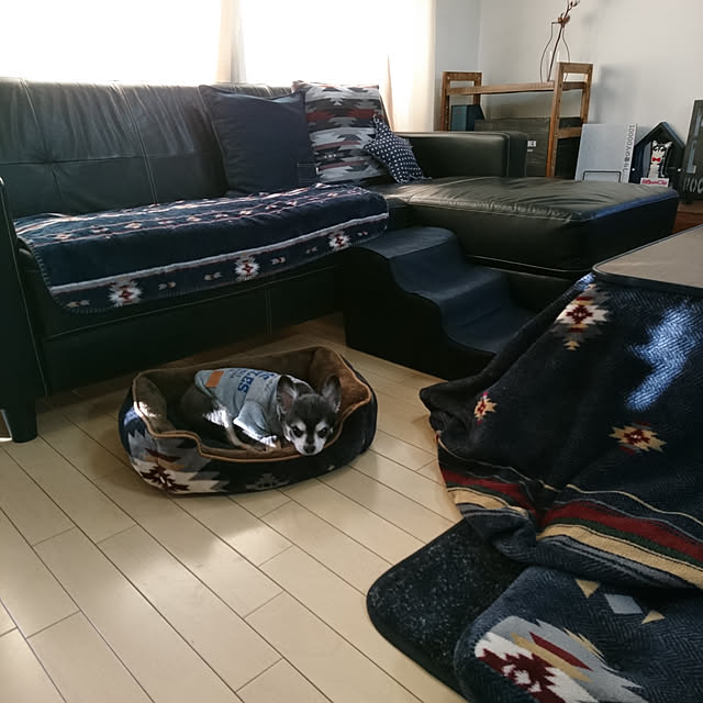 ニトリ こたつ上掛け 正方形 ランドh セイ 玄関先迄納品 のレビュー 口コミとして参考になる投稿10枚 Roomclip ルームクリップ