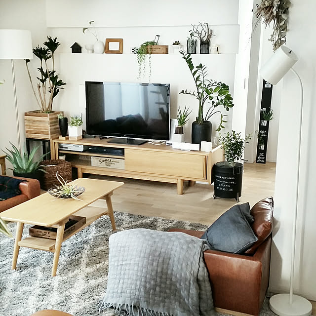 サンセベリア ファーンウッド ミカド 3号 サンスベリア 品薄 人気観葉植物 のレビュー クチコミとして参考になる投稿35枚 Roomclip ルームクリップ