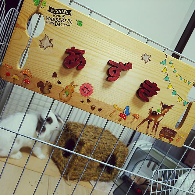 激安単価で マルカン うさぎのうたた寝ハウス idvn.com.vn 激安単価で マルカン うさぎのうたた寝ハウス idvn.com.vn