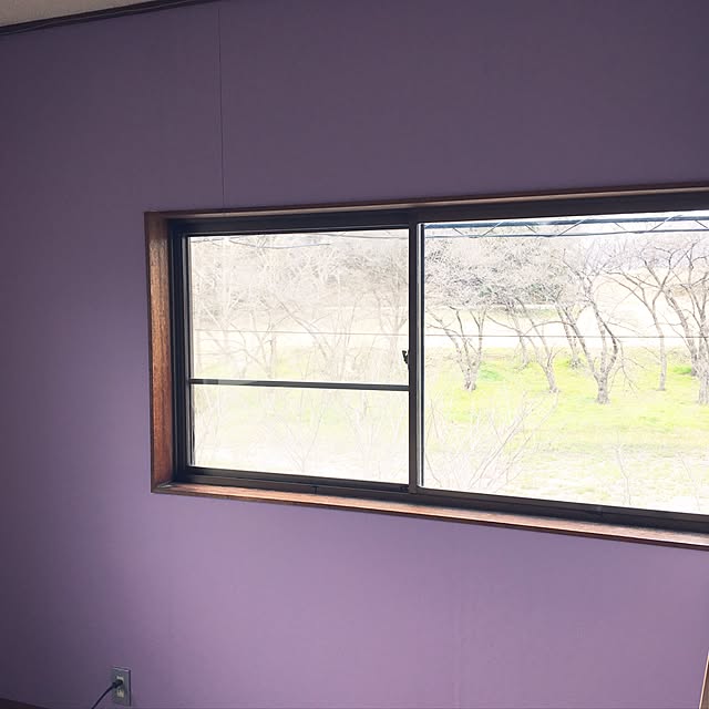 壁紙 パープル のり付き 無地 壁紙 クロス 12柄から選べる 1m単位 切り売り 生のりつきだから届いてすぐ貼れる 国産壁紙 貼り替え リフォーム 紫 ヴァイオレット アクセント 壁紙屋本舗のレビュー クチコミとして参考になる投稿4枚