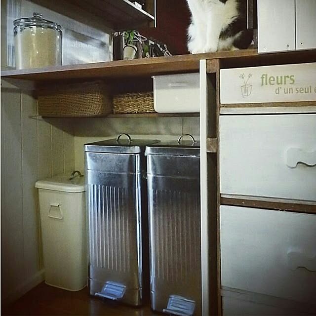 写真付きレビュー 送料無料 ゴミ箱 30l ペダル ふた付き スチール スクエア ダストbox 30リットル 新生活 ペダルペール くずかご 蓋付き おしゃれ 小さい ダストボックス ごみ箱 フタ付き 四角 ごみばこ おむつ キッチン ペダル式ゴミ箱 角型 一人暮らしの通販商品