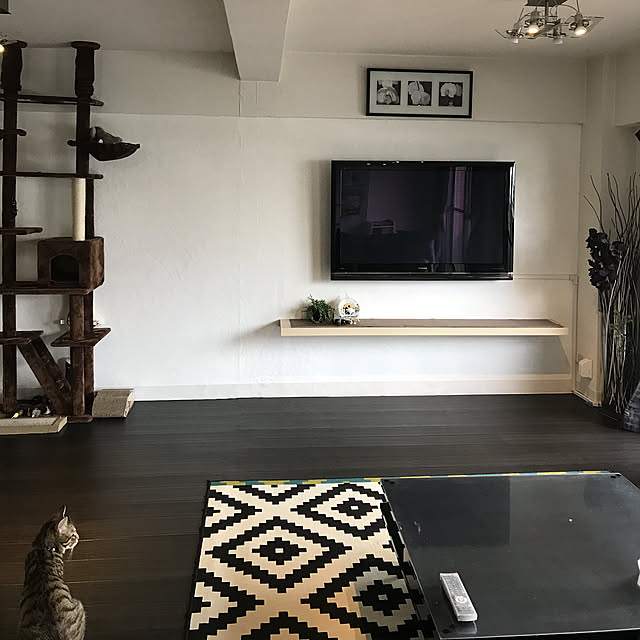 キャットタワー 突っ張り型 スリム 240〜260cm ツインタイプ 爪とぎポール 階段付き ハンモック 猫 麻 アスレチック 多頭飼い 賃貸 大型猫 シニア 子猫のレビュー・クチコミとして参考になる投稿5枚 | RoomClipショッピング キャットタワー 突っ張り型 スリム 240〜260cm ツインタイプ 爪とぎポール 階段付き ハンモック 猫 麻 アスレチック 多頭飼い 賃貸 大型猫 シニア 子猫のレビュー・クチコミとして参考になる投稿5枚 | RoomClipショッピング