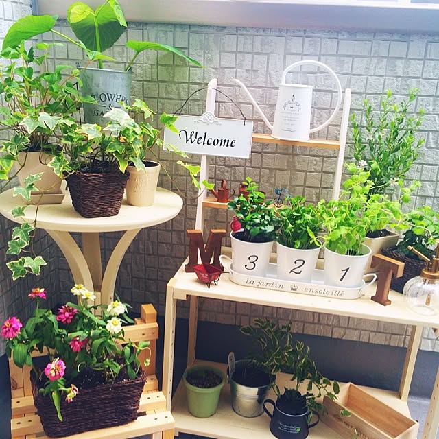 玄関 入り口 ガーデニング ベランダガーデニング ガーデニング初心者のインテリア実例 14 08 09 14 27 01 Roomclip ルームクリップ