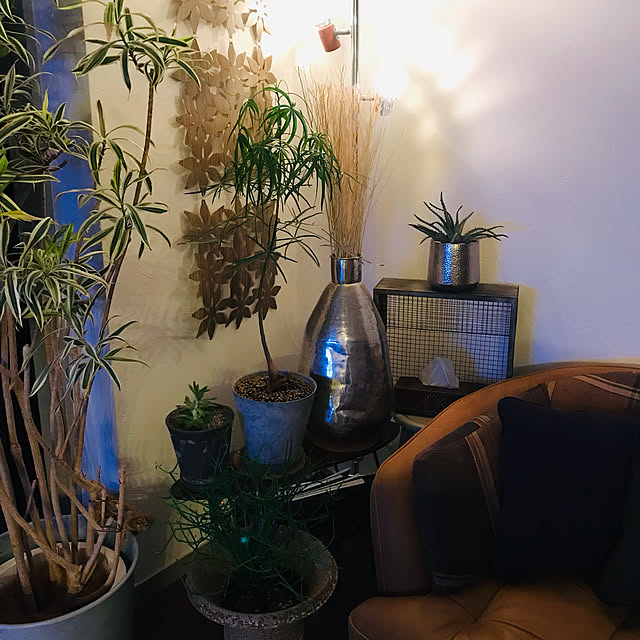 鉢カバー 10号 ブリキ製 39cm プランター ブリキポット おしゃれ レトロ のレビュー クチコミとして参考になる投稿6枚 Roomclip ルームクリップ