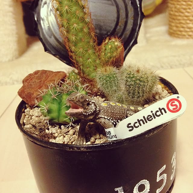 【写真付きレビュー】シュライヒ(Schleich) シュライヒ ワイルドライフ フトアゴヒゲトカゲ フィギュア 14675の通販商品&口コミ ... - Fae968Da146a64cf7668afD858e6088f821319a7