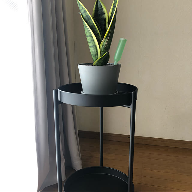 フラワースタンド プランタースタンド おしゃれ ゴールド 観葉 植物 鉢 台 室内 花 フラワー スタンド 観葉植物 玄関 植木鉢 植物スタンド 花台 北欧 飾る 置く 置き 棚 白 消毒液 置き台 ガーデン プランター ラック 高さ Fnt57 P のレビュー クチコミとして参考に フラワースタンド プランタースタンド おしゃれ ゴールド 観葉 植物 鉢 台 室内 花 フラワー スタンド 観葉植物 玄関 植木鉢 植物スタンド 花台 北欧 飾る 置く 置き 棚 白 消毒液 置き台 ガーデン プランター ラック 高さ Fnt57 P のレビュー クチコミとして参考に