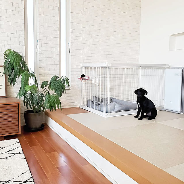 最大350円クーポン配布中 ワンにゃんday 屋根付き 犬 ゲージ 木製風 犬 ケージ 屋根付き 幅1 奥行80 Pwsr 1280 送料無料 犬 ケージ トイレ 別 ペットサークル 犬 ゲージ 犬 ウッディサークル おしゃれ トレー アイリスオーヤマ トイレ トレー 木目のレビュー