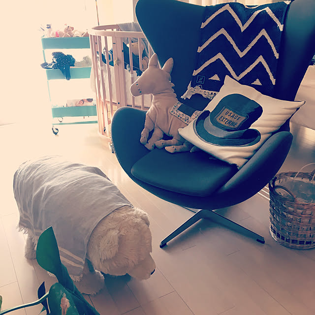 あす楽 送料無料 Ikea イケア Raskog ロースコグ ワゴン キッチンワゴン 組み立て 家具 インテリア キッチングッズ キャスター付き 便利 定番 人気 Diy シンプル 秋冬 贈り物 プレゼントのレビュー クチコミとして参考になる投稿19枚 Roomclip Item