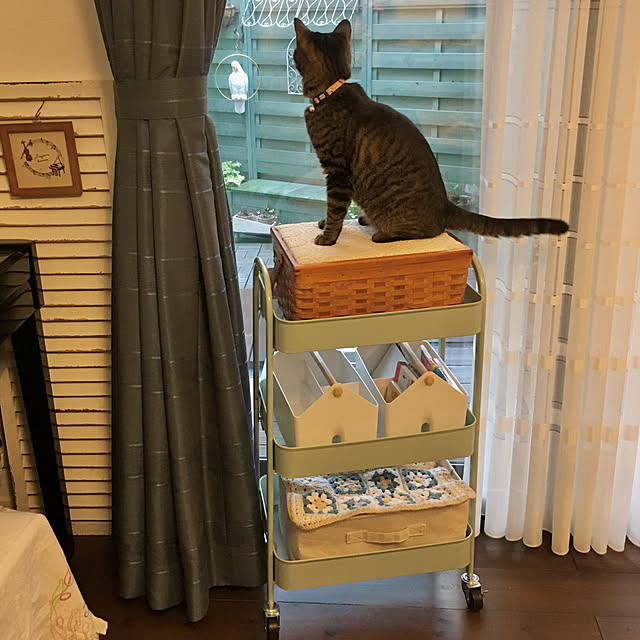 Litem 日本公式店 パロバスケット 4 5l 2pセット グレー 収納ボックス 小物収納 小物入れ 収納ケース ソートボックス 仕切り 取っ手付き 多目的 Amazon Co Jp限定 のレビュー クチコミとして参考になる投稿4枚