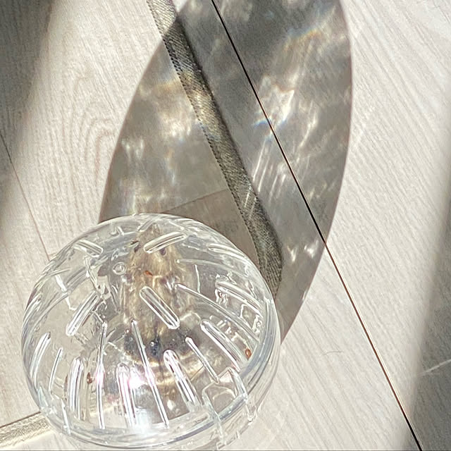 ランナーボール12 ハムスターボール 回し車 ホイール 運動 ストレス解消 掃除 ジャンガリアン サンコー Sanko 三晃商会のレビュー クチコミとして参考になる投稿1枚 Roomclip ルームクリップ